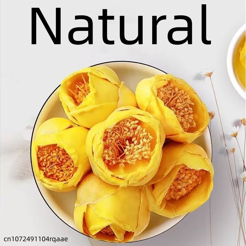 Bunga Camellia Nitidissima Ker - Candle Making Diy ulasan dan harga