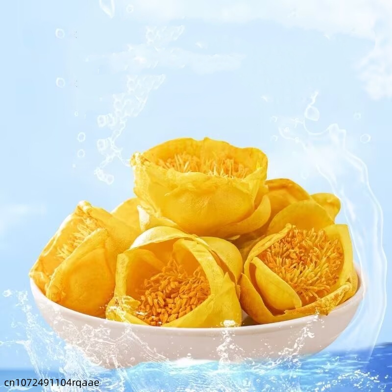 Bunga Camellia Nitidissima Ker - Candle Making Diy ulasan dan harga