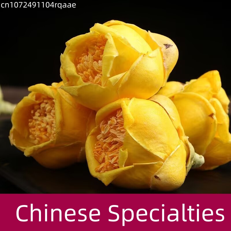 Bunga Camellia Nitidissima Ker - Candle Making Diy ulasan dan harga